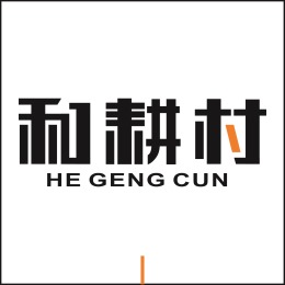 丹灶碧桂园125方墙面柜子加整体家具