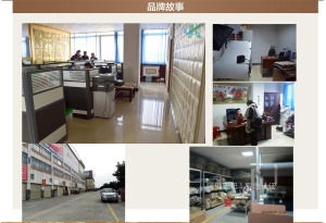 公司介绍