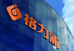 公司介绍