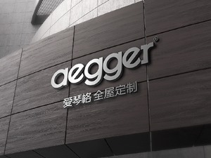 公司介绍