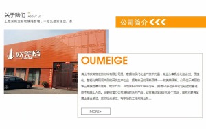 公司介绍